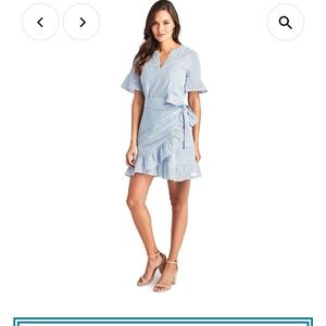 Vineyard Vines Blue Striped Dress